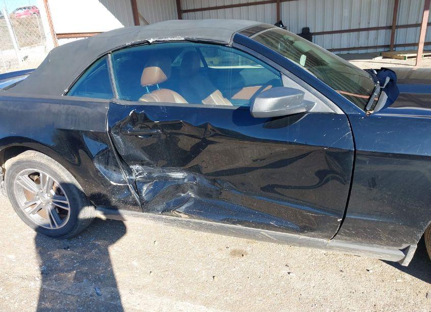 Photo 6 of 2010 Ford Mustang V6 PREMIUM (VIN 1ZVBP8EN6A5116697)