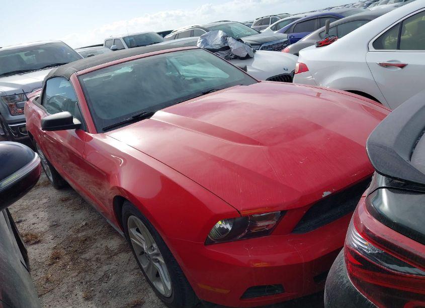 2010 Ford Mustang V6/V6 PREMIUM (VIN 1ZVBP8EN6A5158822) main photo
