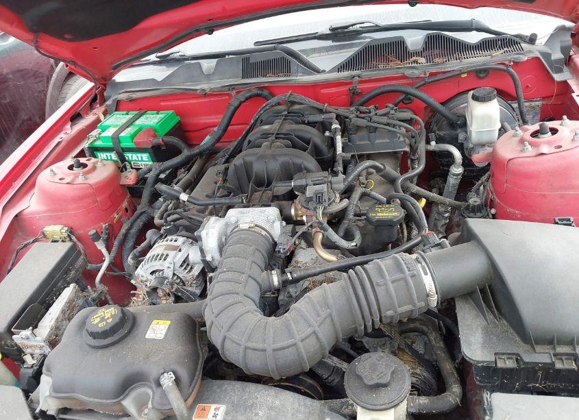 Photo 10 of 2010 Ford Mustang V6/V6 PREMIUM (VIN 1ZVBP8EN6A5158822)