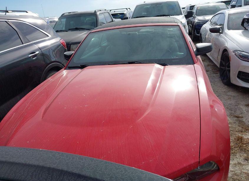 Photo 12 of 2010 Ford Mustang V6/V6 PREMIUM (VIN 1ZVBP8EN6A5158822)