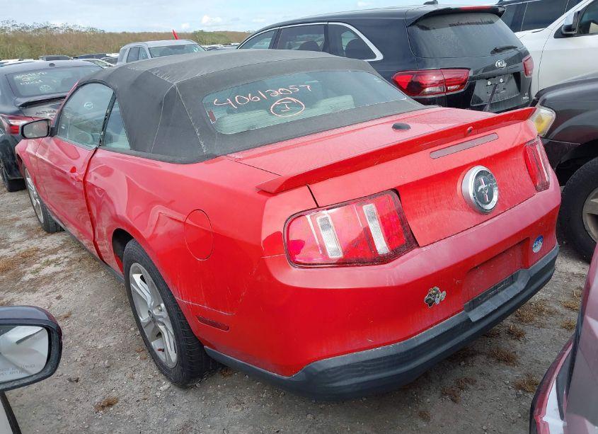 Photo 3 of 2010 Ford Mustang V6/V6 PREMIUM (VIN 1ZVBP8EN6A5158822)