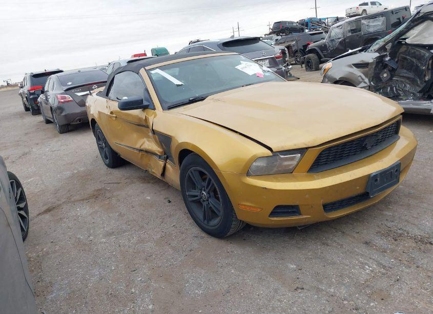 2010 Ford Mustang V6 PREMIUM (VIN 1ZVBP8EN6A5167469) main photo