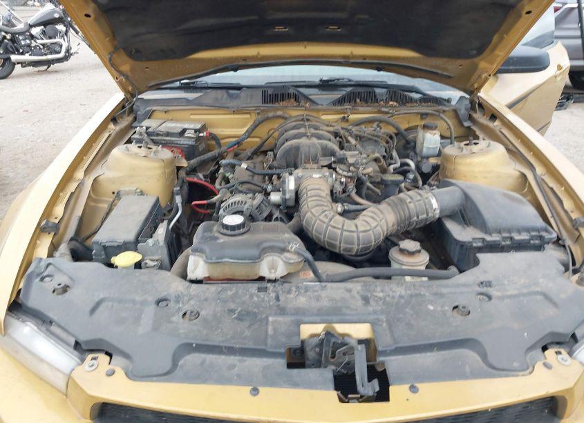 Photo 10 of 2010 Ford Mustang V6 PREMIUM (VIN 1ZVBP8EN6A5167469)