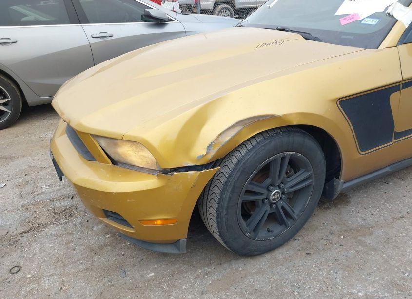 Photo 6 of 2010 Ford Mustang V6 PREMIUM (VIN 1ZVBP8EN6A5167469)