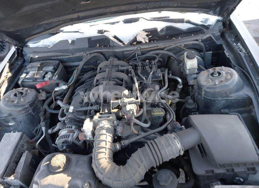 Photo 10 of 2010 Ford Mustang V6/V6 PREMIUM (VIN 1ZVBP8EN6A5173854)