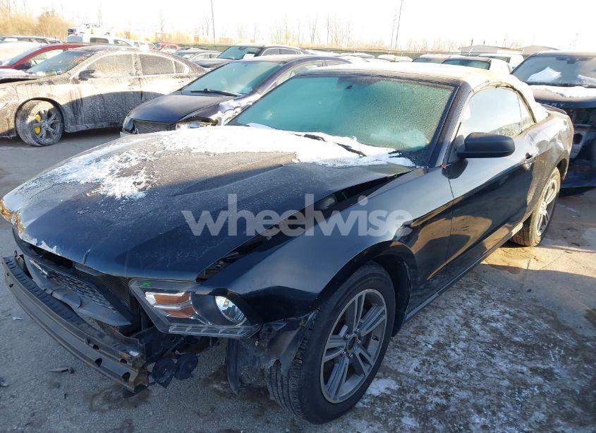 Photo 2 of 2010 Ford Mustang V6/V6 PREMIUM (VIN 1ZVBP8EN6A5173854)