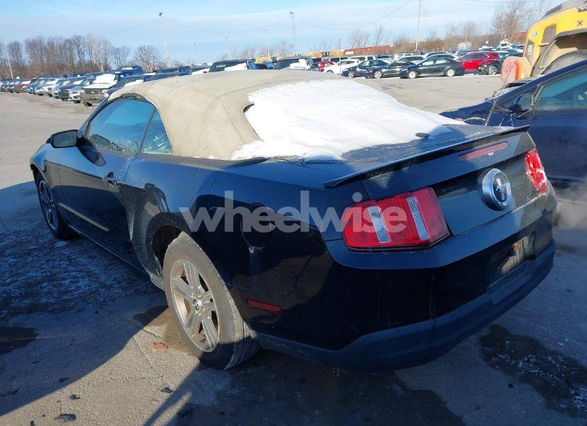 Photo 3 of 2010 Ford Mustang V6/V6 PREMIUM (VIN 1ZVBP8EN6A5173854)