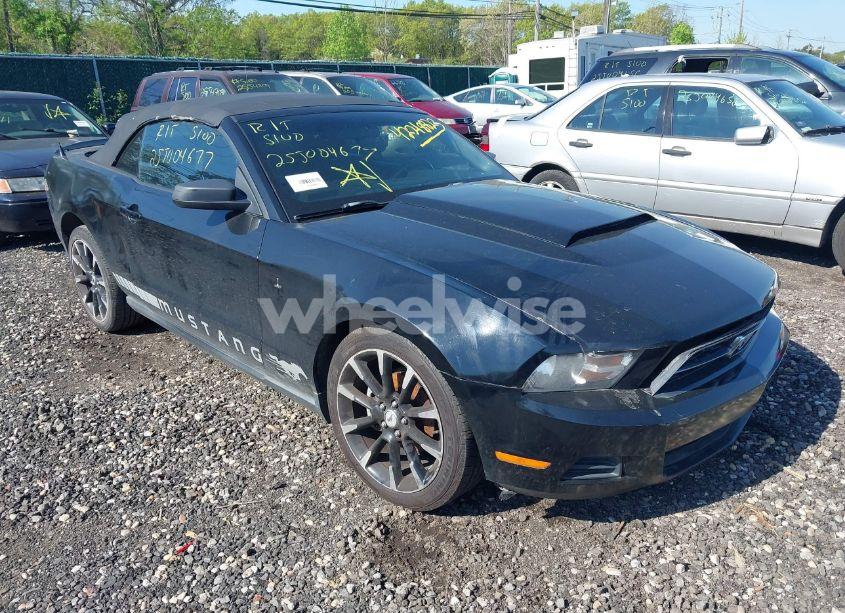 2010 Ford Mustang V6/V6 PREMIUM (VIN 1ZVBP8EN6A5175524) main photo