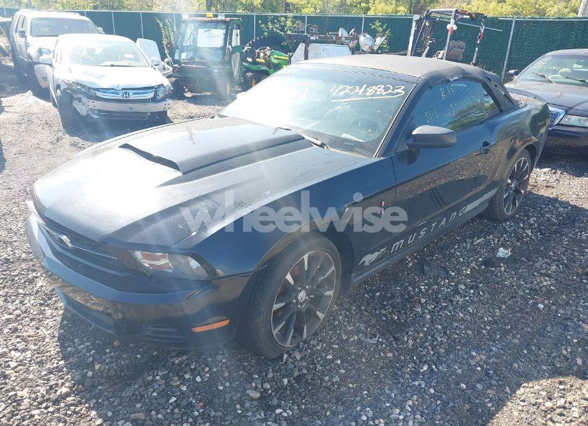 Photo 2 of 2010 Ford Mustang V6/V6 PREMIUM (VIN 1ZVBP8EN6A5175524)