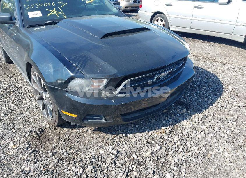 Photo 6 of 2010 Ford Mustang V6/V6 PREMIUM (VIN 1ZVBP8EN6A5175524)