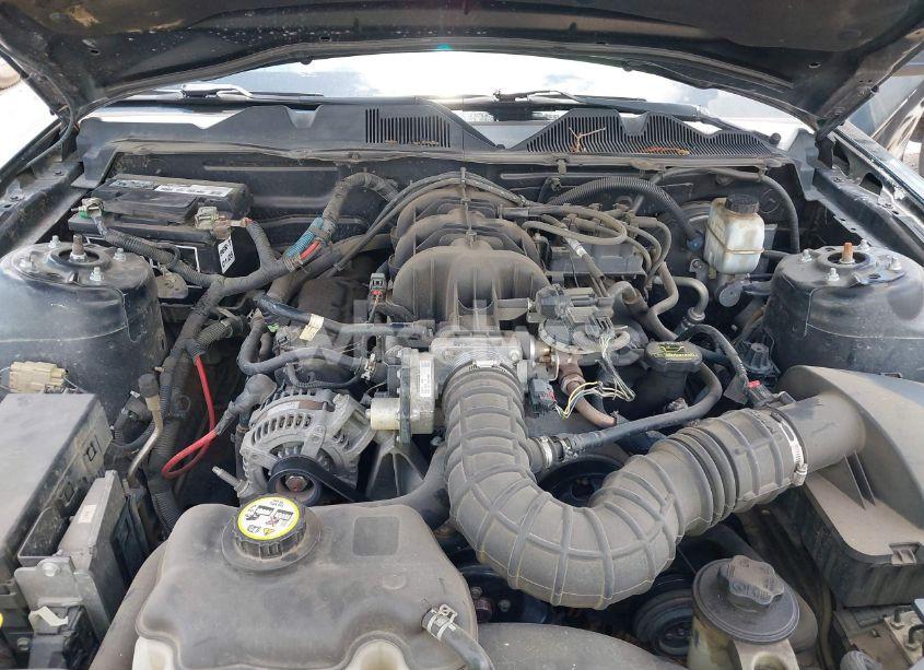 Photo 10 of 2010 Ford Mustang V6/V6 PREMIUM (VIN 1ZVBP8EN7A5127918)