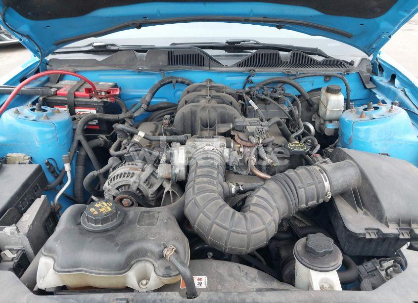 Photo 10 of 2010 Ford Mustang V6 PREMIUM (VIN 1ZVBP8EN7A5167142)