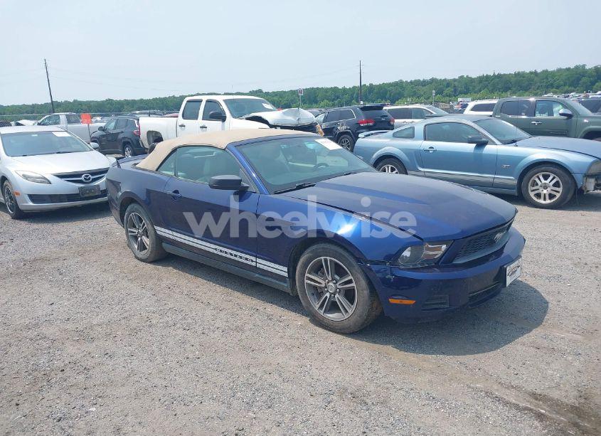 2010 Ford Mustang V6/V6 PREMIUM (VIN 1ZVBP8EN7A5171725) main photo