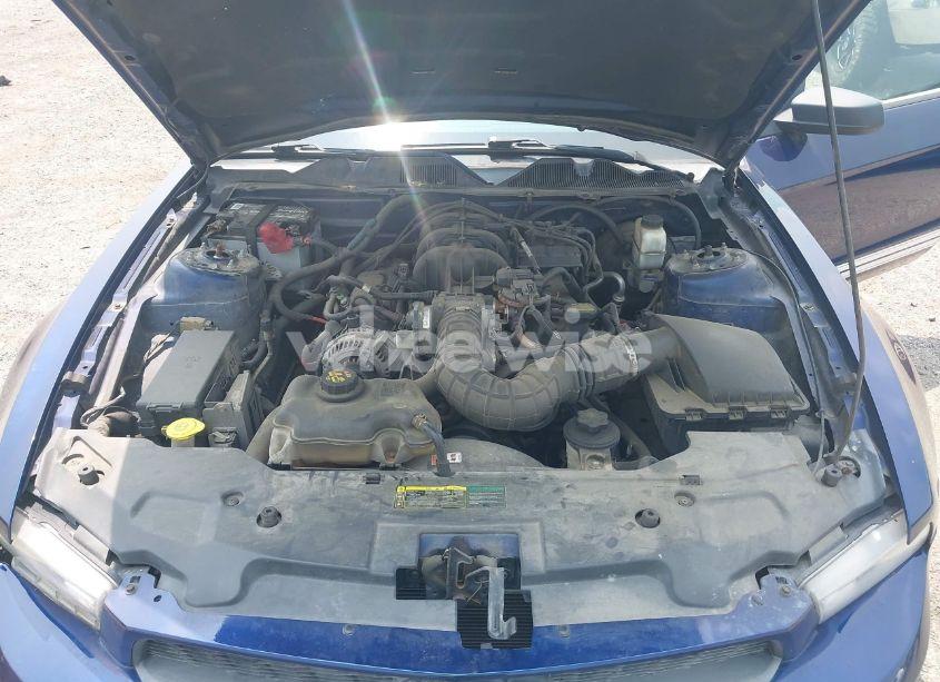 Photo 10 of 2010 Ford Mustang V6/V6 PREMIUM (VIN 1ZVBP8EN7A5171725)