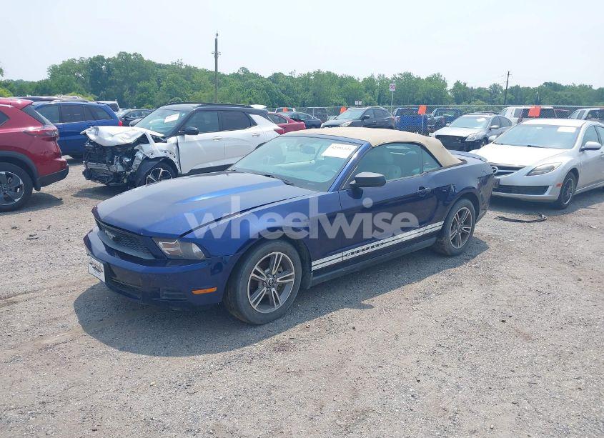 Photo 2 of 2010 Ford Mustang V6/V6 PREMIUM (VIN 1ZVBP8EN7A5171725)
