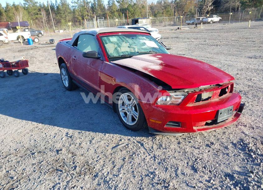 2010 Ford Mustang V6/V6 PREMIUM (VIN 1ZVBP8EN7A5177668) main photo