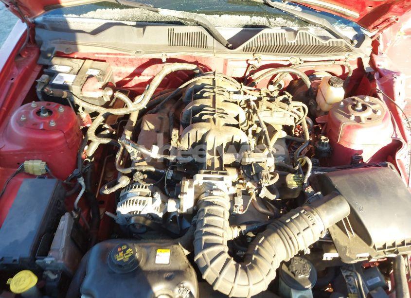 Photo 10 of 2010 Ford Mustang V6/V6 PREMIUM (VIN 1ZVBP8EN7A5177668)