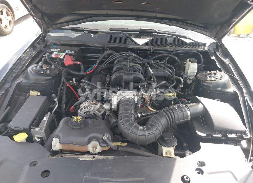 Photo 10 of 2010 Ford Mustang (VIN 1ZVBP8EN8A5167067)