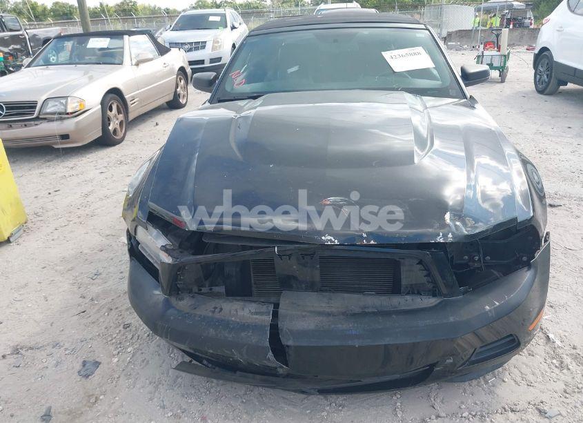 Photo 14 of 2010 Ford Mustang (VIN 1ZVBP8EN8A5167067)