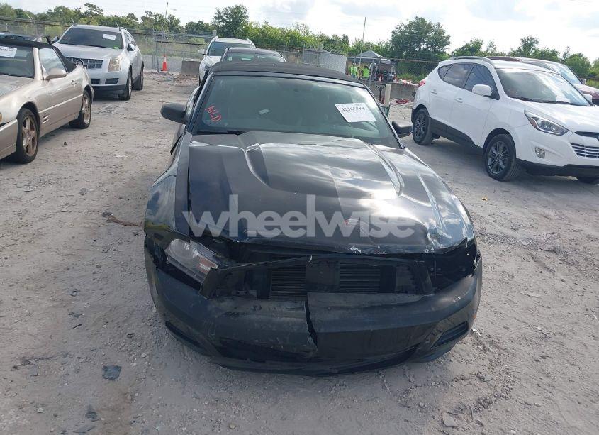 Photo 6 of 2010 Ford Mustang (VIN 1ZVBP8EN8A5167067)