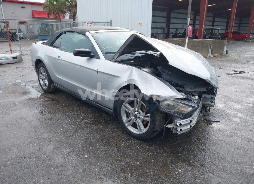 2010 Ford Mustang V6/V6 PREMIUM (VIN 1ZVBP8EN8A5169594) main photo