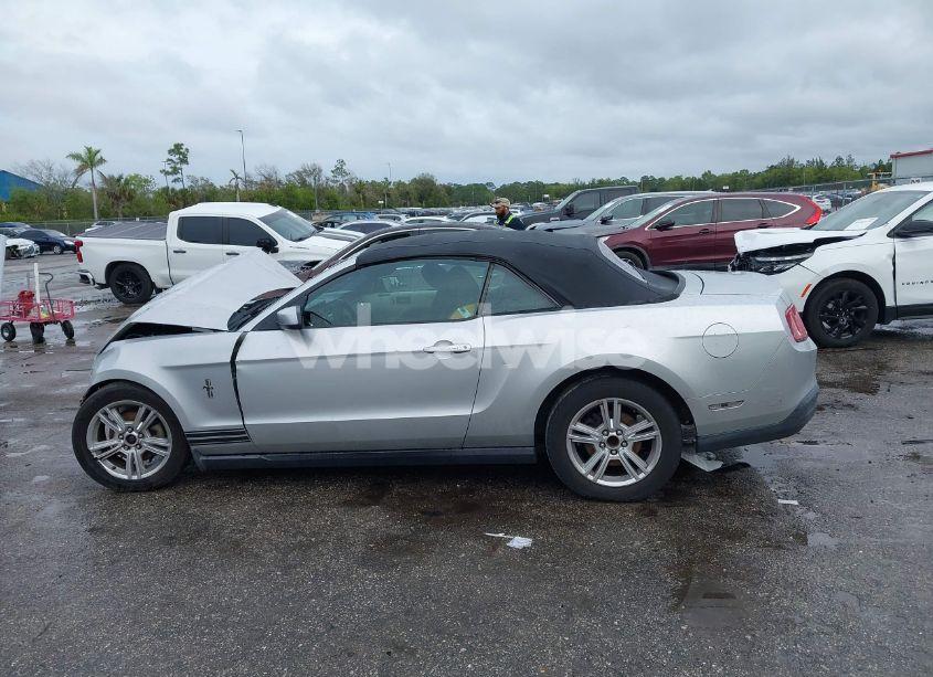 Photo 14 of 2010 Ford Mustang V6/V6 PREMIUM (VIN 1ZVBP8EN8A5169594)