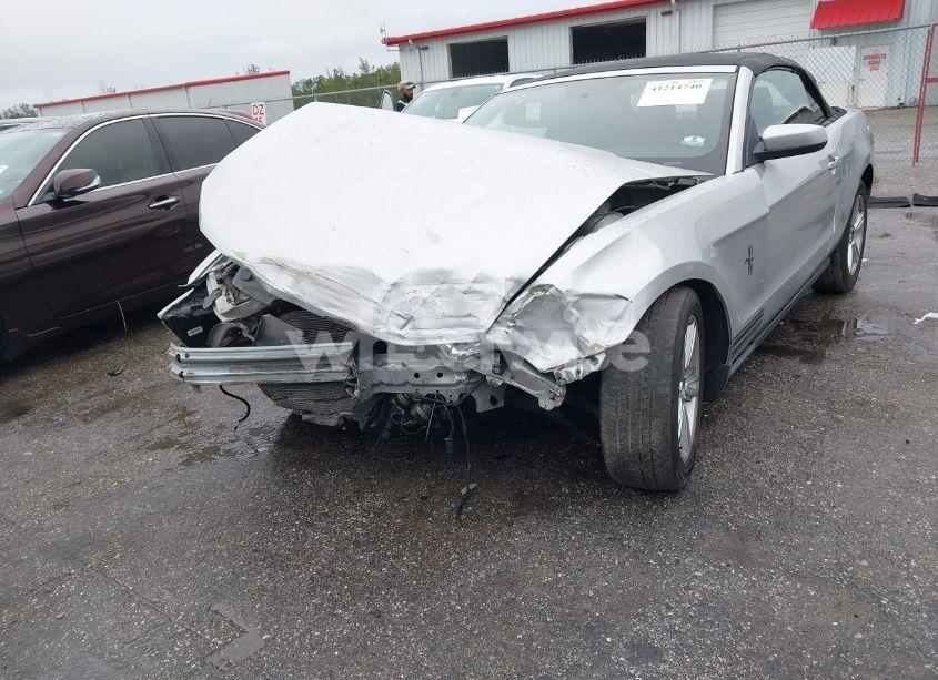 Photo 6 of 2010 Ford Mustang V6/V6 PREMIUM (VIN 1ZVBP8EN8A5169594)