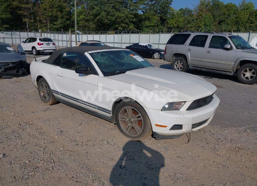 2010 Ford Mustang V6/V6 PREMIUM (VIN 1ZVBP8EN8A5170552) main photo