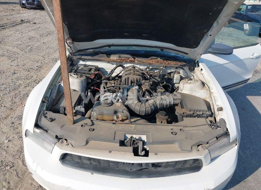 Photo 10 of 2010 Ford Mustang V6/V6 PREMIUM (VIN 1ZVBP8EN8A5170552)