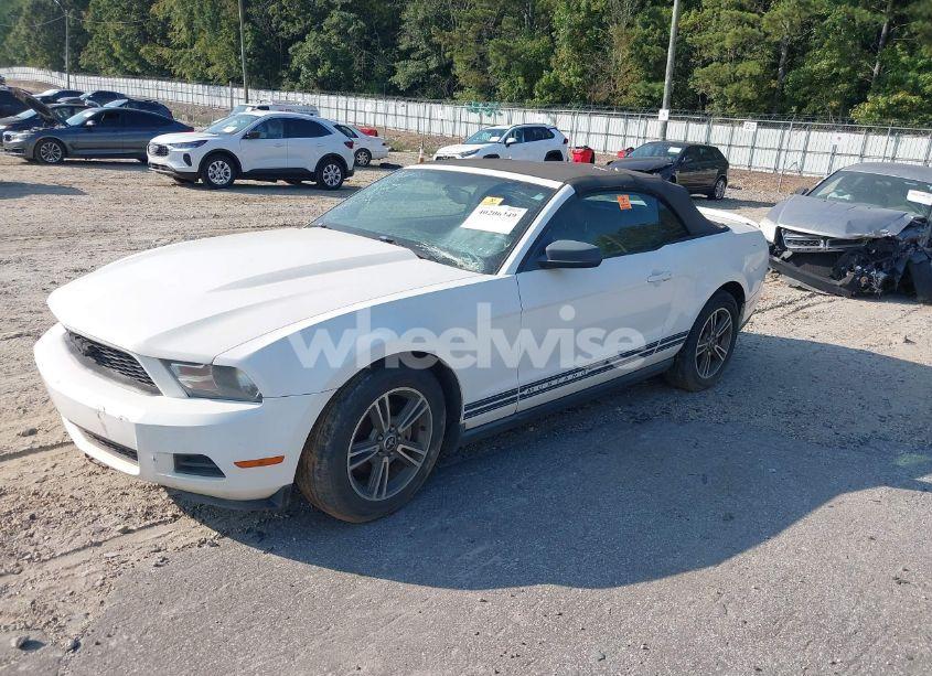 Photo 2 of 2010 Ford Mustang V6/V6 PREMIUM (VIN 1ZVBP8EN8A5170552)