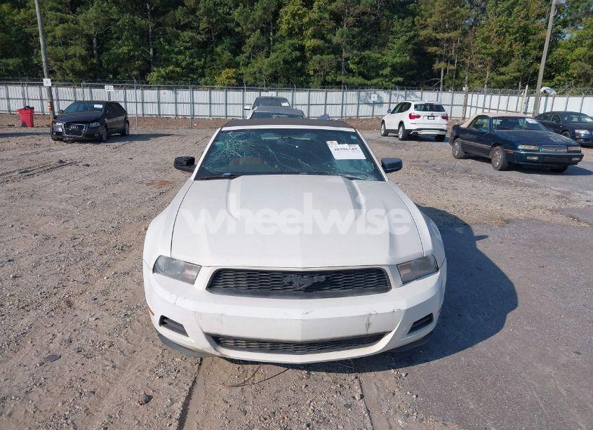 Photo 6 of 2010 Ford Mustang V6/V6 PREMIUM (VIN 1ZVBP8EN8A5170552)