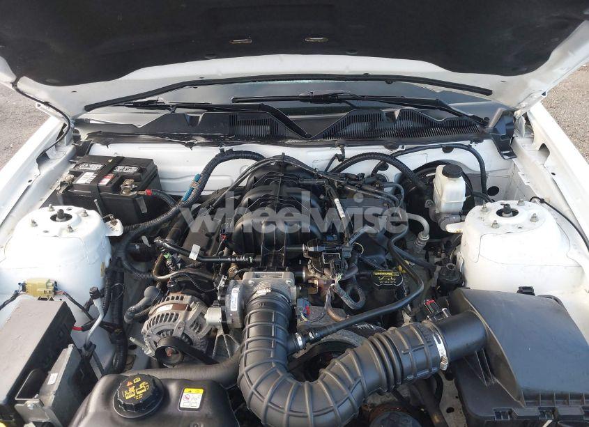 Photo 10 of 2010 Ford Mustang V6/V6 PREMIUM (VIN 1ZVBP8EN8A5177825)