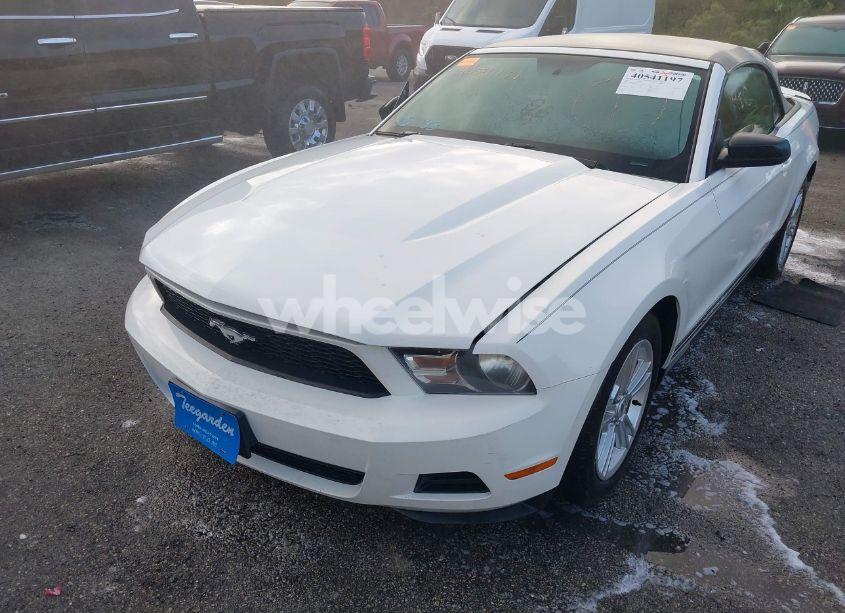 Photo 2 of 2010 Ford Mustang V6/V6 PREMIUM (VIN 1ZVBP8EN8A5177825)