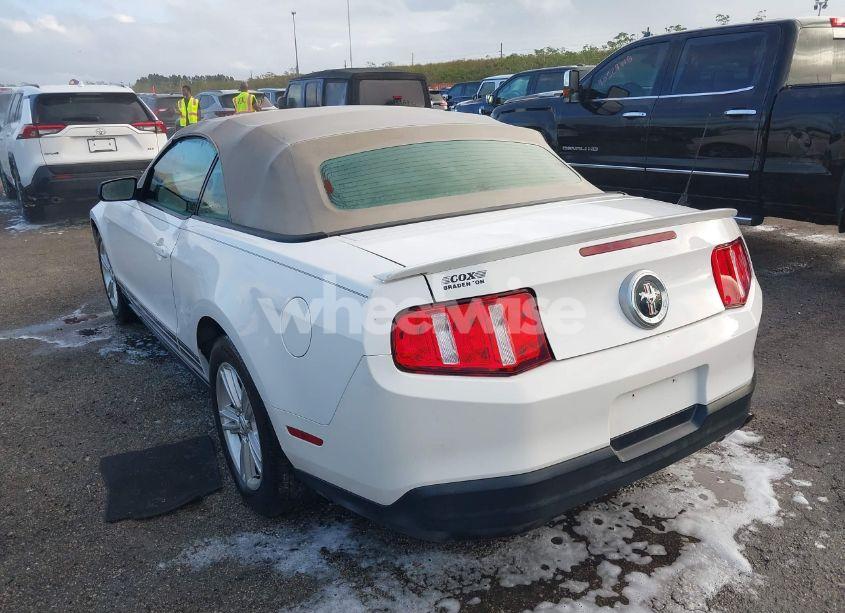 Photo 3 of 2010 Ford Mustang V6/V6 PREMIUM (VIN 1ZVBP8EN8A5177825)