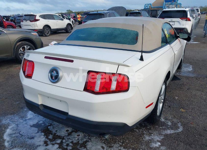 Photo 4 of 2010 Ford Mustang V6/V6 PREMIUM (VIN 1ZVBP8EN8A5177825)