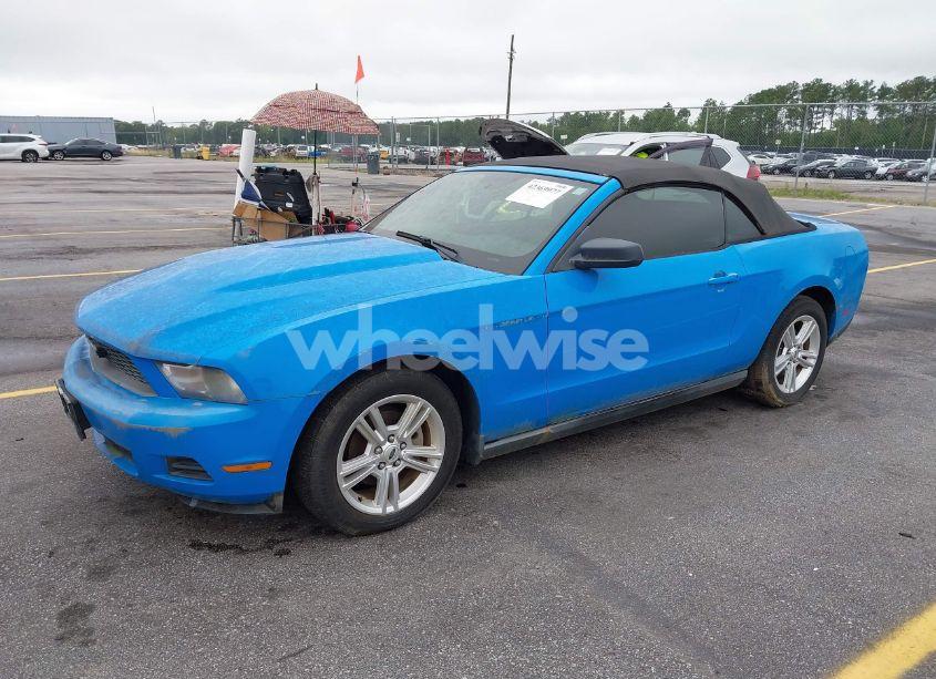 Photo 2 of 2010 Ford Mustang V6/V6 PREMIUM (VIN 1ZVBP8EN8A5179686)