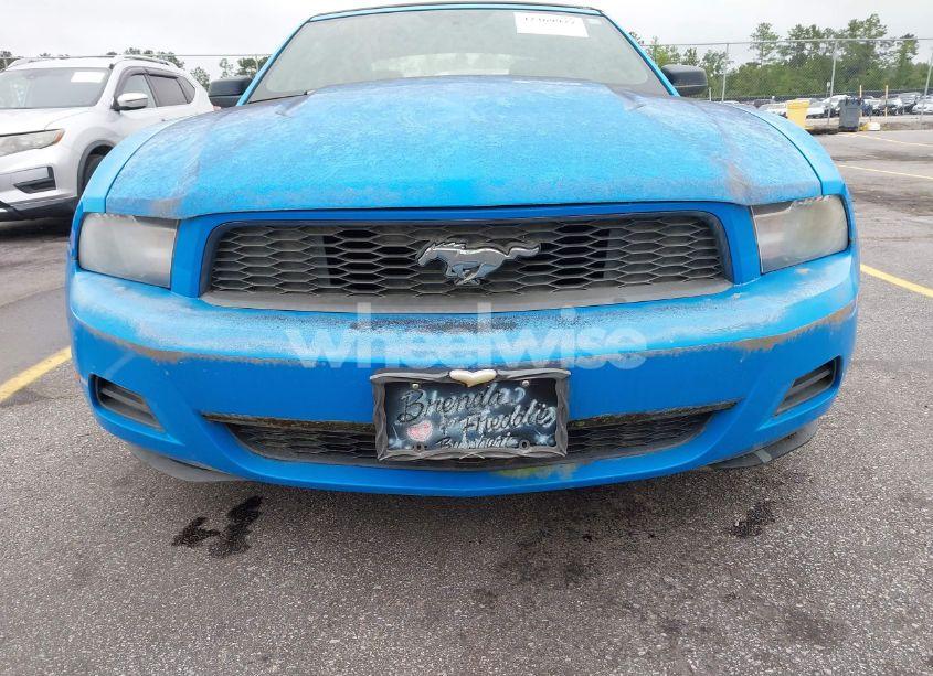 Photo 6 of 2010 Ford Mustang V6/V6 PREMIUM (VIN 1ZVBP8EN8A5179686)