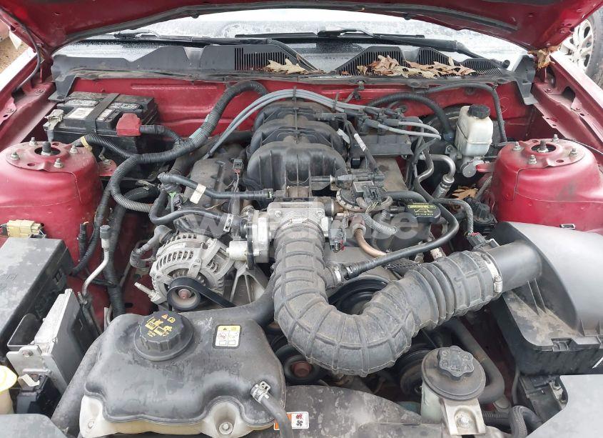 Photo 10 of 2010 Ford Mustang V6/V6 PREMIUM (VIN 1ZVBP8ENXA5166843)