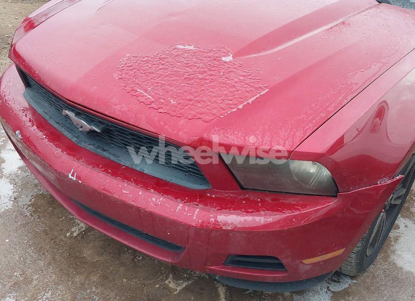 Photo 16 of 2010 Ford Mustang V6/V6 PREMIUM (VIN 1ZVBP8ENXA5166843)