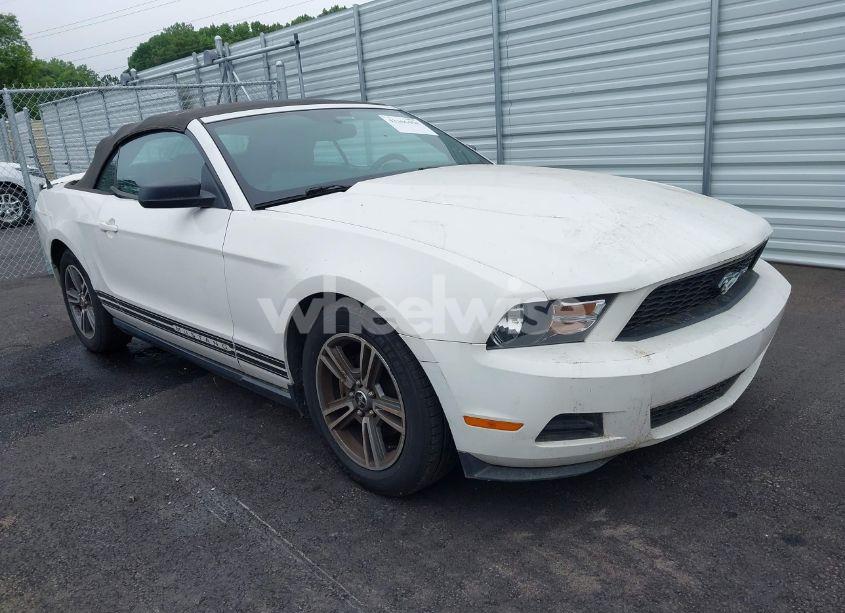 2010 Ford Mustang V6 PREMIUM (VIN 1ZVBP8ENXA5167037) main photo