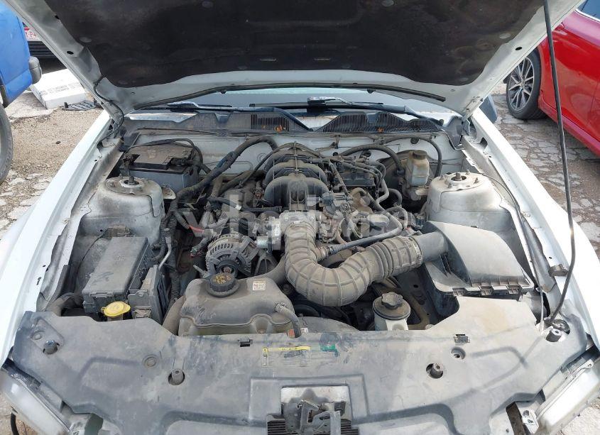 Photo 10 of 2010 Ford Mustang V6/V6 PREMIUM (VIN 1ZVBP8ENXA5179088)