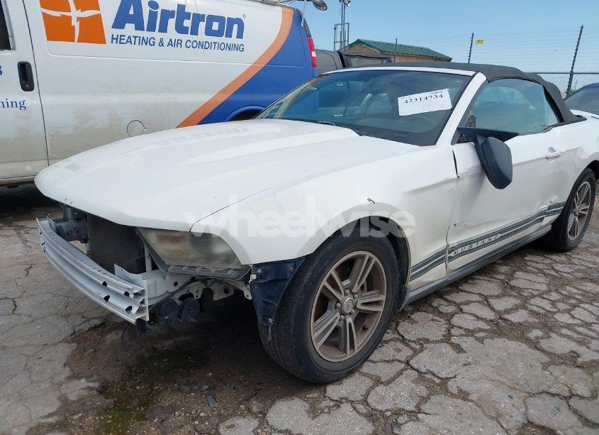 Photo 6 of 2010 Ford Mustang V6/V6 PREMIUM (VIN 1ZVBP8ENXA5179088)