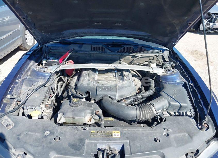 Photo 10 of 2011 Ford Mustang GT PREMIUM (VIN 1ZVBP8FF0B5137425)