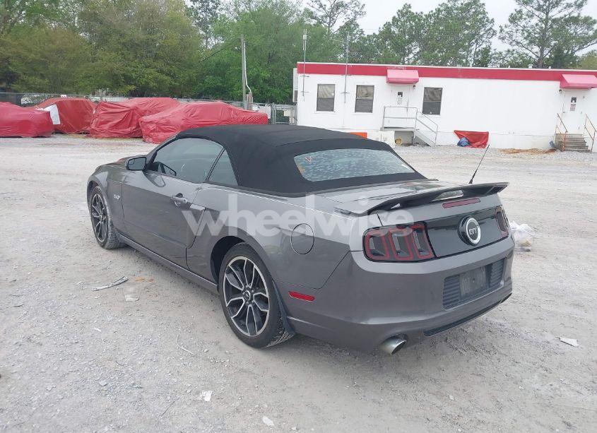 Photo 3 of 2014 Ford Mustang GT PREMIUM (VIN 1ZVBP8FF1E5330493)