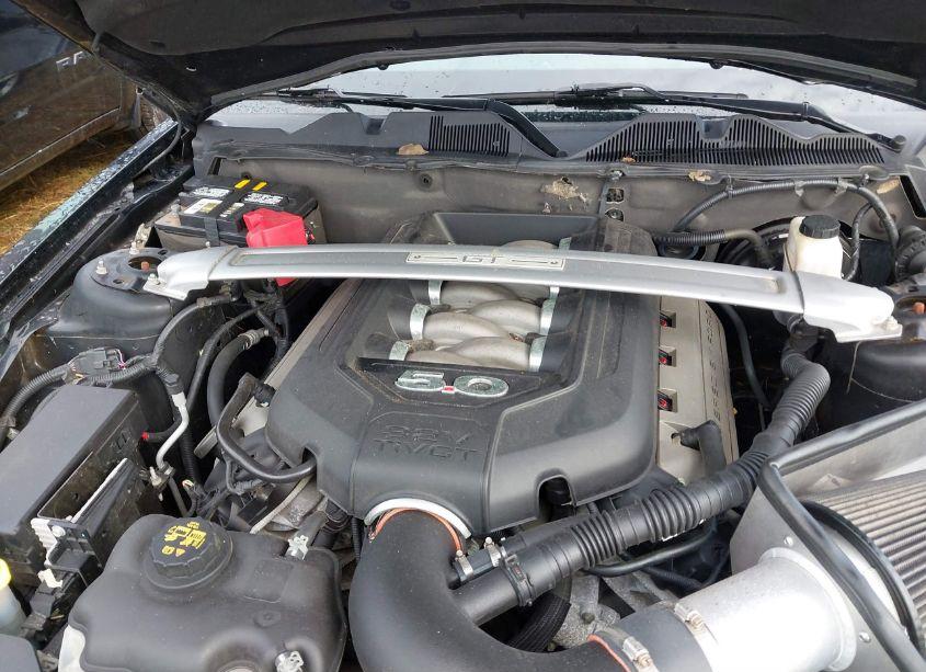 Photo 10 of 2011 Ford Mustang GT PREMIUM (VIN 1ZVBP8FF5B5106526)