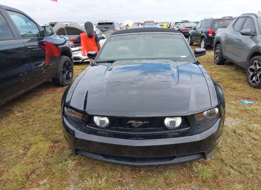 Photo 12 of 2011 Ford Mustang GT PREMIUM (VIN 1ZVBP8FF5B5106526)