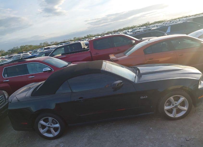 Photo 13 of 2011 Ford Mustang GT PREMIUM (VIN 1ZVBP8FF5B5106526)