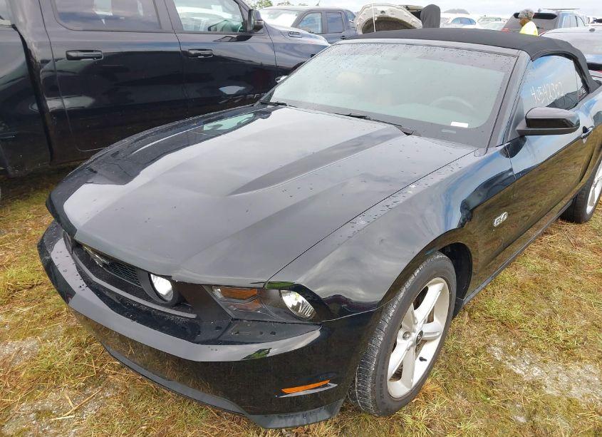 Photo 2 of 2011 Ford Mustang GT PREMIUM (VIN 1ZVBP8FF5B5106526)