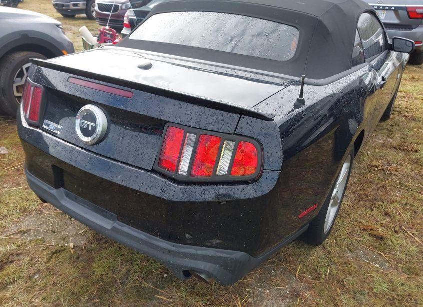 Photo 4 of 2011 Ford Mustang GT PREMIUM (VIN 1ZVBP8FF5B5106526)