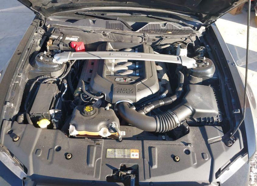 Photo 10 of 2014 Ford Mustang GT PREMIUM (VIN 1ZVBP8FF5E5325426)